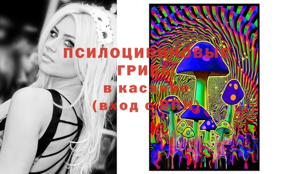 альфа пвп Усинск
