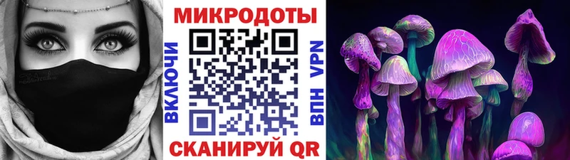 как найти наркотики  Нестеровская  blacksprut tor  Псилоцибиновые грибы мицелий 